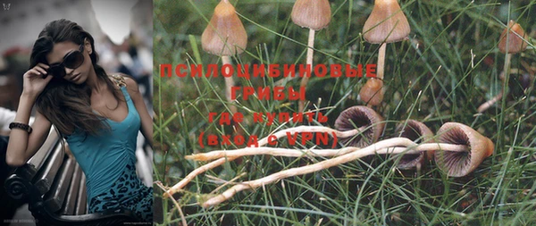 MDMA Premium VHQ Заволжск