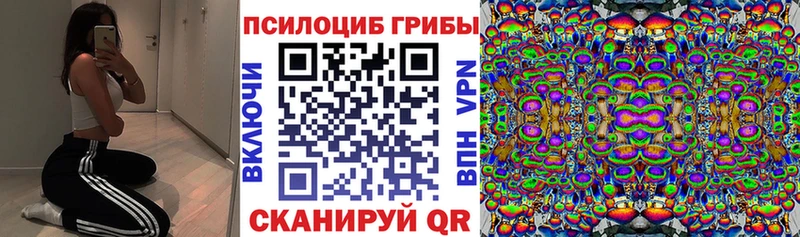 Галлюциногенные грибы мухоморы  Купить  Северо-Курильск 